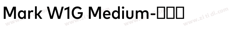 Mark W1G Medium字体转换